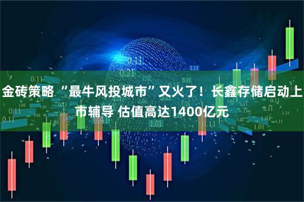 金砖策略 “最牛风投城市”又火了！长鑫存储启动上市辅导 估值高达1400亿元