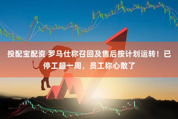 投配宝配资 罗马仕称召回及售后按计划运转！已停工超一周，员工称心散了