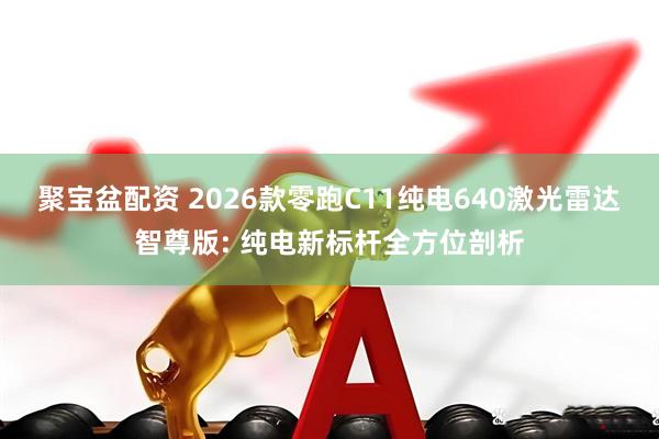 聚宝盆配资 2026款零跑C11纯电640激光雷达智尊版: 纯电新标杆全方位剖析